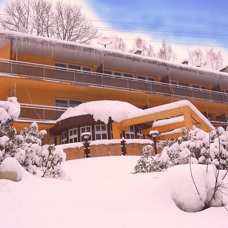 Hotel Wiktoria Шклярска Поремба Екстериор снимка